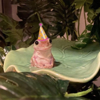 ‎#ليس قوة خارقة