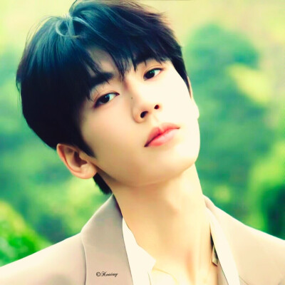 亲爱的藤井树小姐 今天我在富士山 山顶为你飘落了一片雪 而此刻我正喜欢着你 喜欢得全世界的森林一起倒下那么喜欢