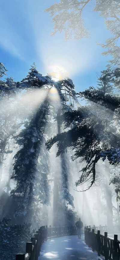 手机壁纸｜聊天背景图