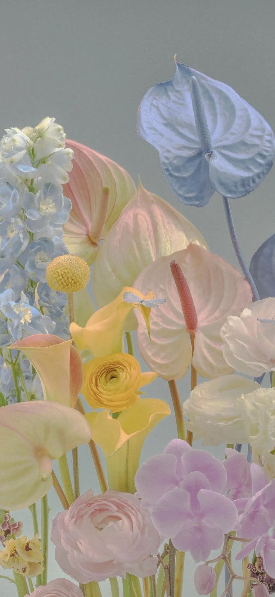 ‎#ليس قوة خارقة