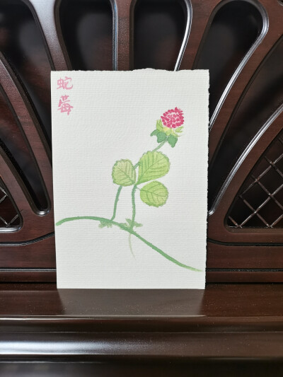 44 蛇莓（绘画 | 水彩 | 果花甘05）
2018.10.23
蛇莓，大概是蛇的草莓吧。
匍匐的藤越过土丘，在林地蜿蜒蛇行。举起一捧明亮的火把，蛇莓照耀一个雨天。
叶片温柔地挥手，竖起幸运草的扇子，给出一个爱的抱抱。