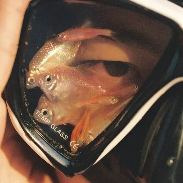 ‎#ليس قوة خارقة