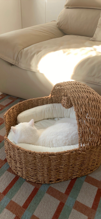 ‎#ليس قوة خارقة