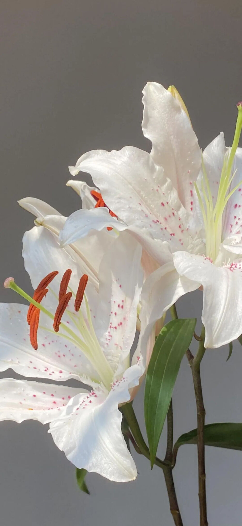 ‎#ليس قوة خارقة