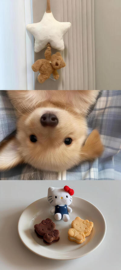 壁纸·图源微博