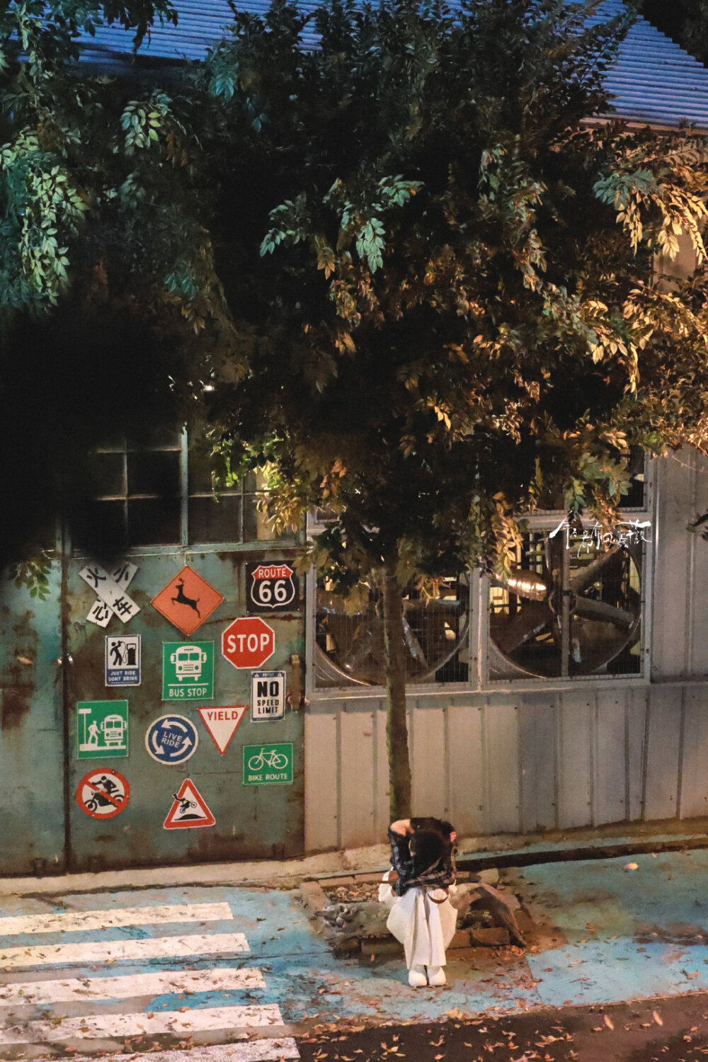 cr.年年都有田曦薇