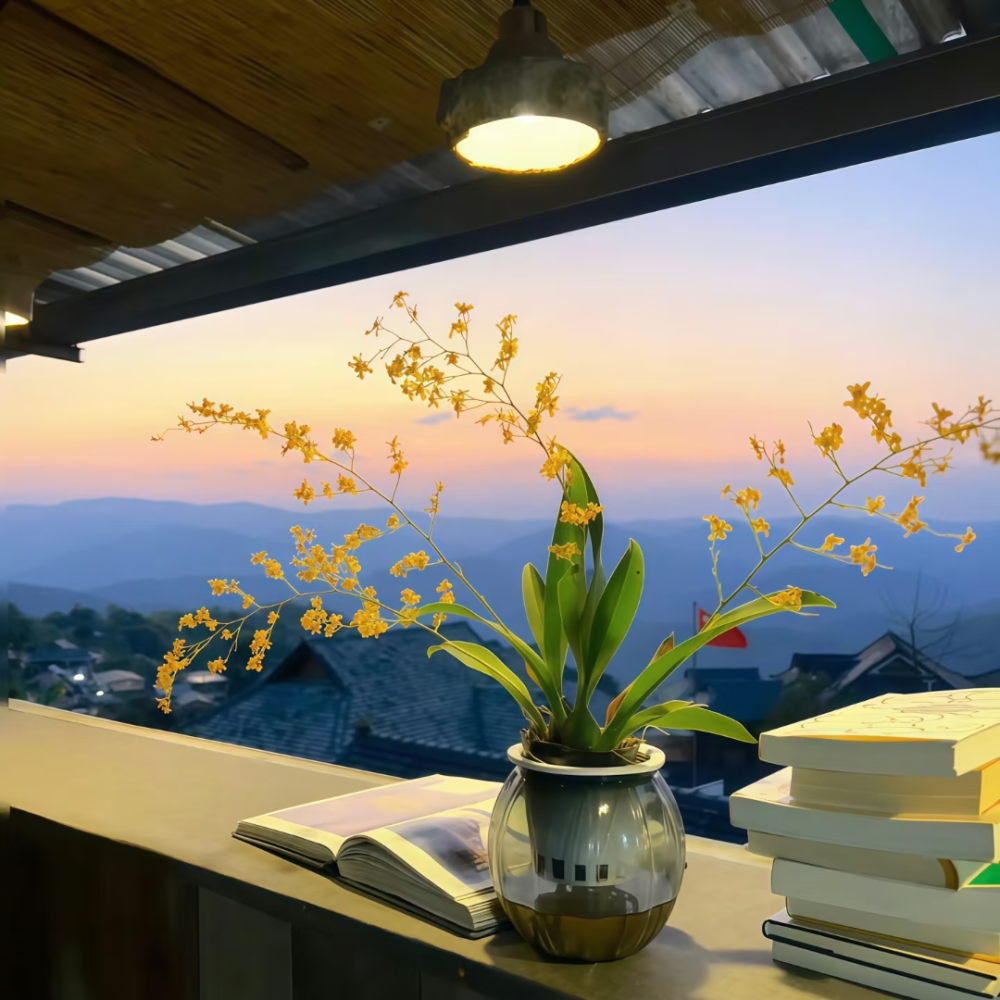 背景·图源小红书