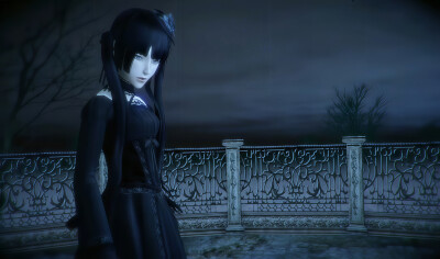 cinerissomnia
鬼哈姆