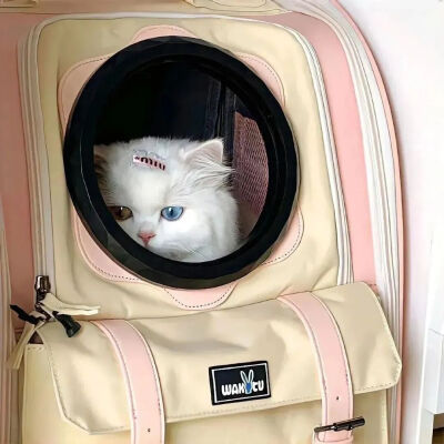 我是不会放弃收集这种图片的