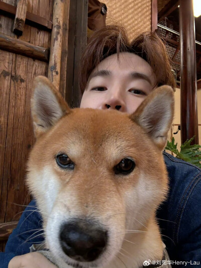 刘宪华Henry-Lau：
好久不见，就多拍几张吧