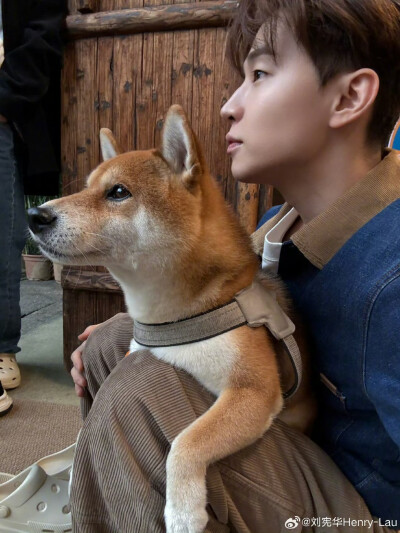 刘宪华Henry-Lau：
好久不见，就多拍几张吧
