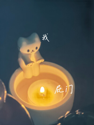 凭借着这份光，我便能把黑夜当成白天