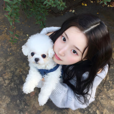 女生头像˶ᕱ⑅ᕱﾞ