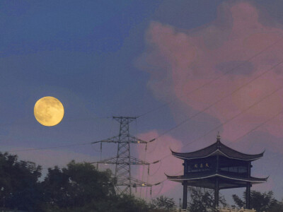 今年生日我得到的很多爱