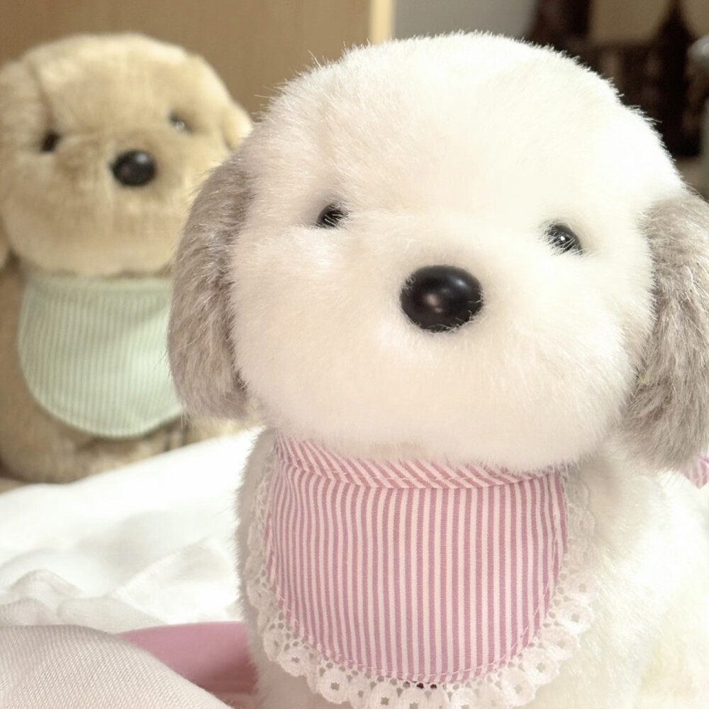 雅雅的图（拿图收藏点赞关注 白嫖滚）