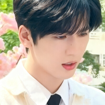 何苏叶等蒋峤西