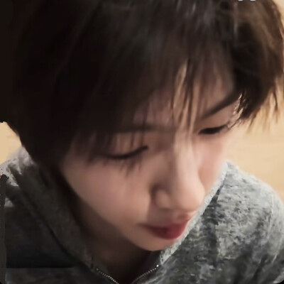 一只猪两只猪三只猪...