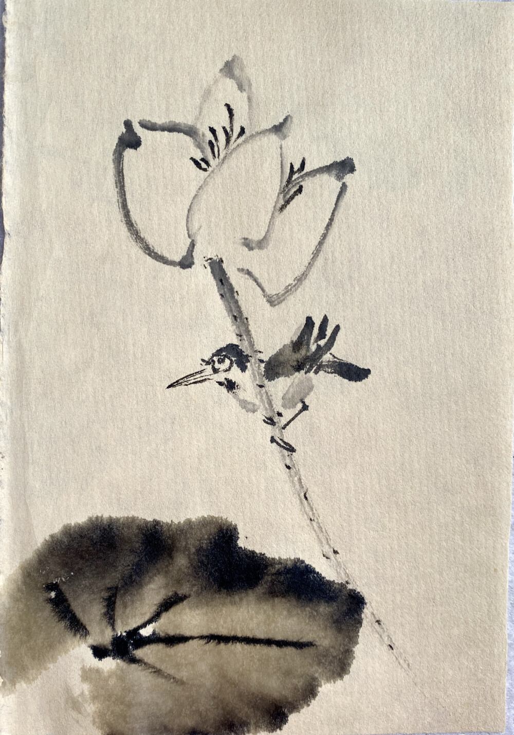 水墨花鸟