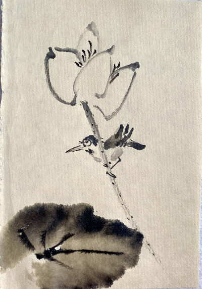水墨花鸟