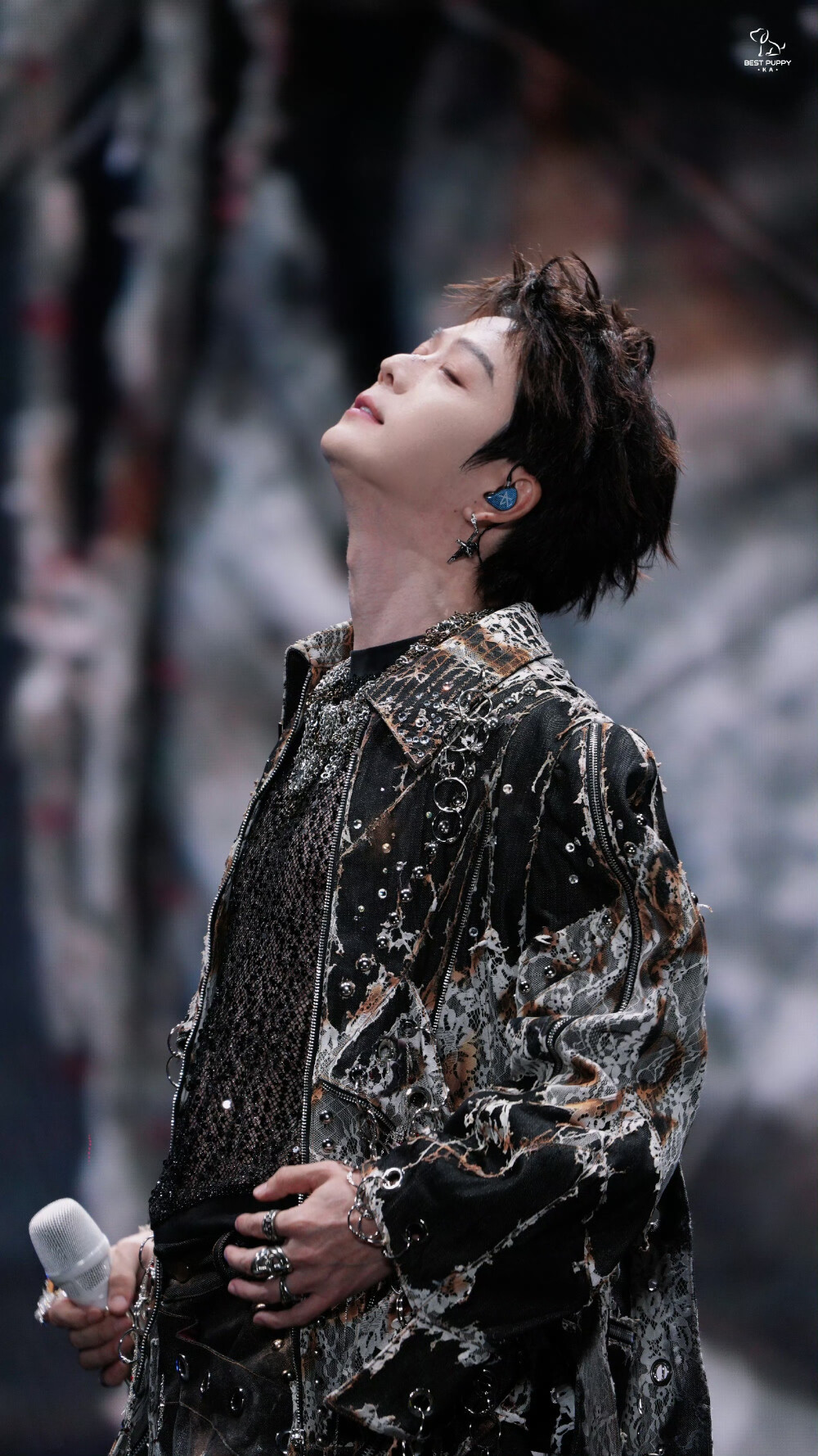 王栎鑫11.1慈溪城市森林音乐节