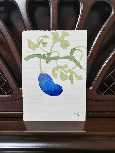 45 木通（绘画 | 水彩 | 果花甘05）
2018.10.04
青色的夜转蓝，晴空和水相遇了。
纯得没有一丝灯火，宁静的夏夜在木通的身上发芽。
静谧的夜和水燃烧，凉爽的蓝色火焰在静谧的山林间燃烧，烧透木通的果实。
烧蓝一…