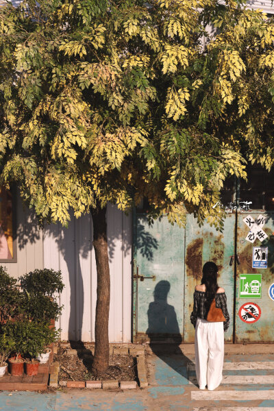 cr.年年都有田曦薇