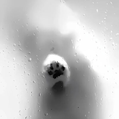 我是不会放弃收集这种图片的