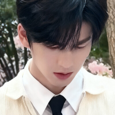 何苏叶等蒋峤西