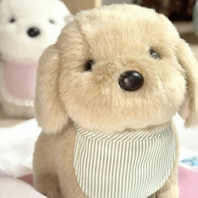 雅雅的图（拿图收藏点赞关注 白嫖滚）