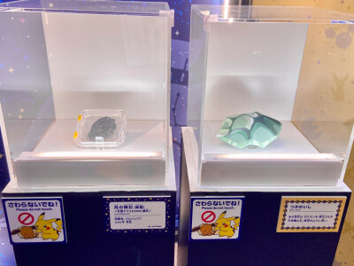 宝可梦Pm天文展