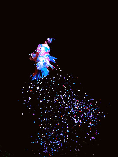 日常
轻飏，蹁跹，花自落。