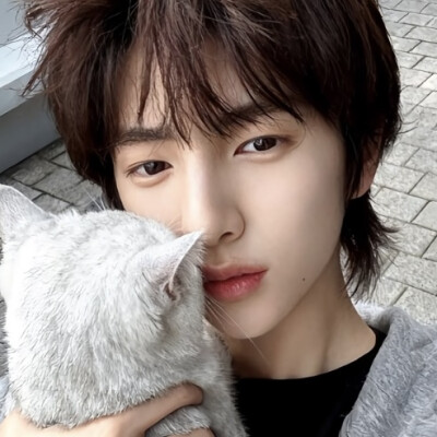 这是ai的但是我觉得很可爱啦(`๑-ω-๑´)