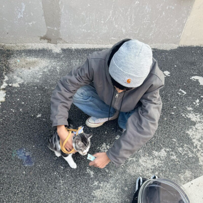 男头
二传头像注明出处