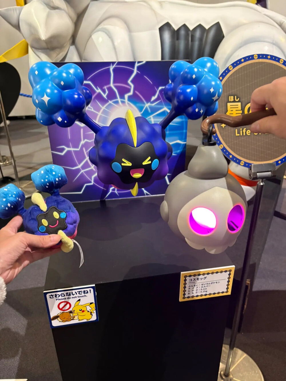 宝可梦Pm天文展