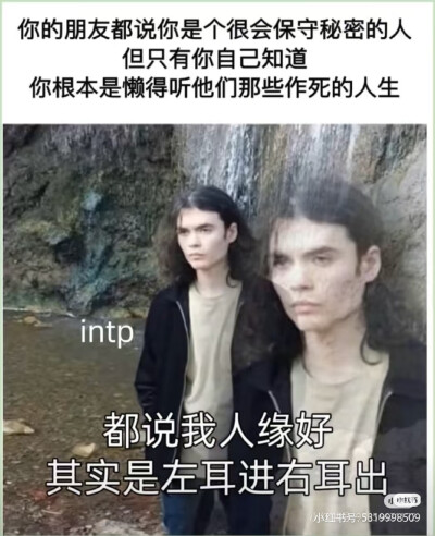 intp梗图
