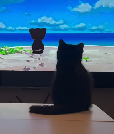 和小黑看小黑
来自小红书@小黑煤球球
