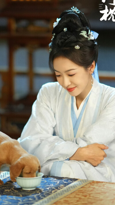 山河枕 楚瑜 宋茜