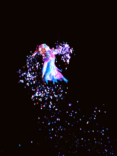 日常
轻飏，蹁跹，花自落。