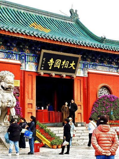 日常
菊影摇曳，香雾袅袅。