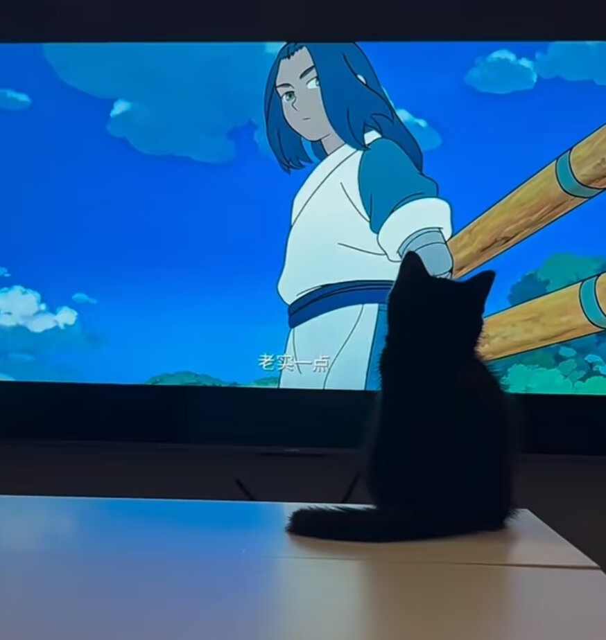 和小黑看小黑
来自小红书@小黑煤球球
