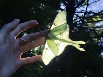 快乐当然有一点