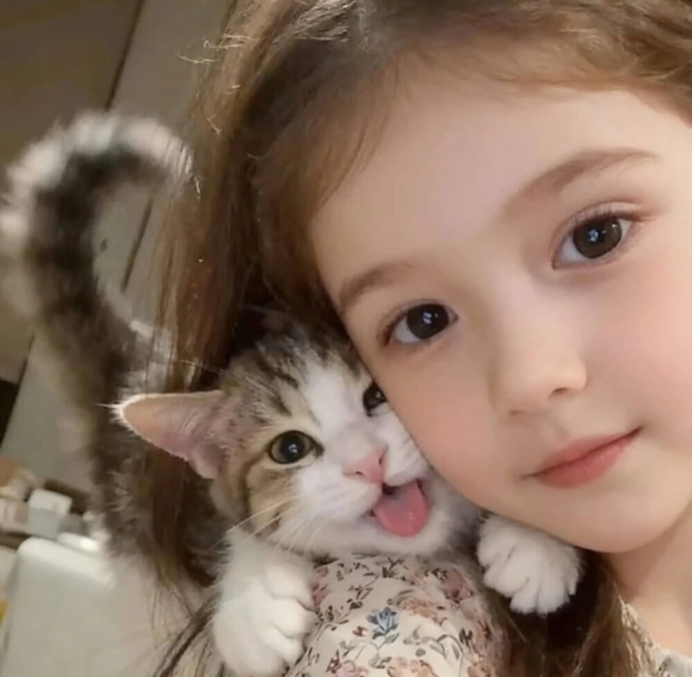 抱猫女孩头像