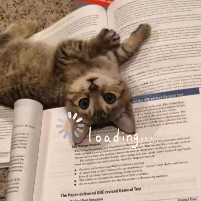 我是不会放弃收集这种图片的