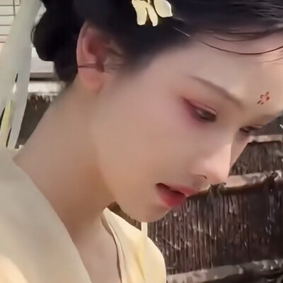 泪眼问花花不语