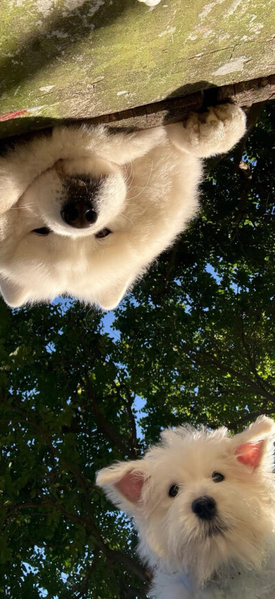 平铺壁纸 手机壁纸