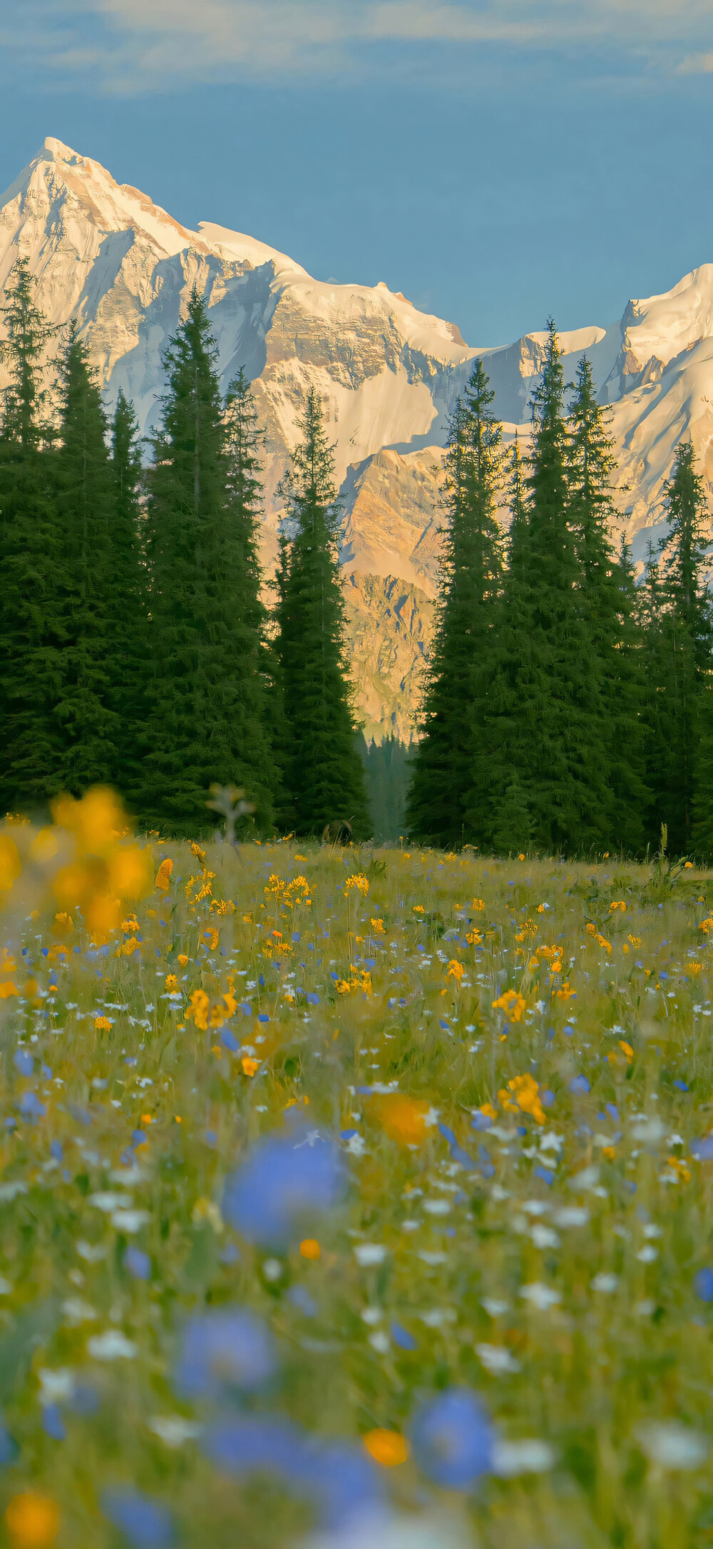 平铺壁纸 手机壁纸