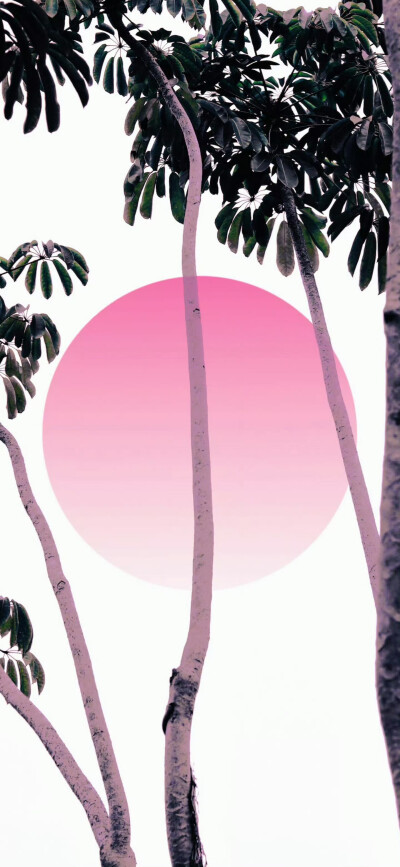 手机壁纸｜搬运网络 侵删