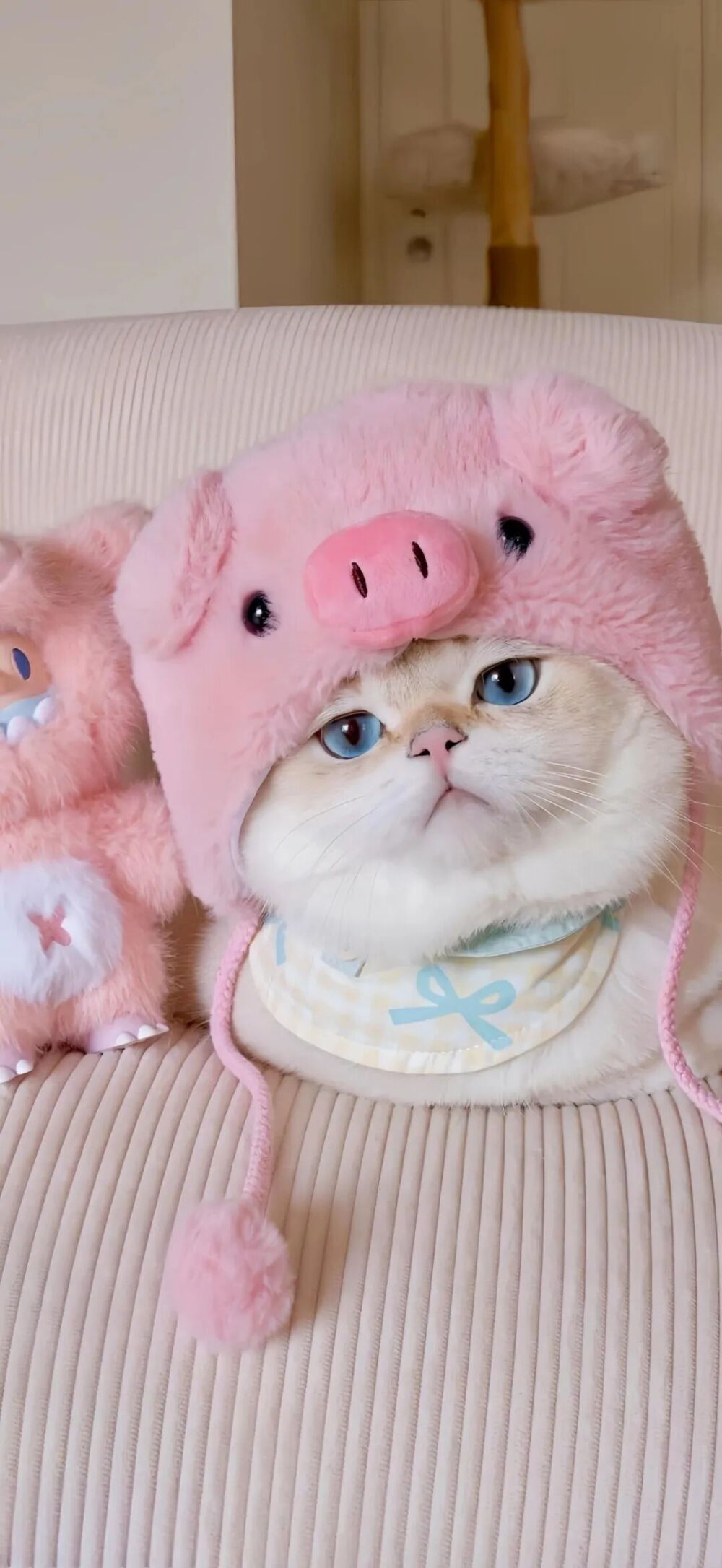 我是不会放弃收集这种图片的