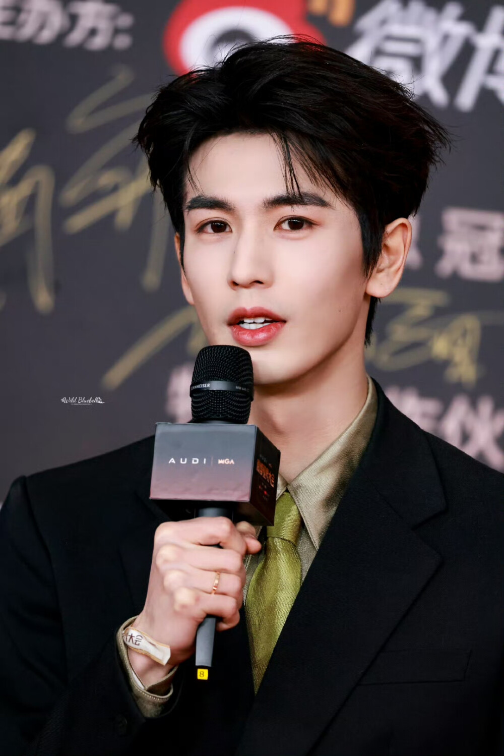 cr.WildBluebell·张凌赫