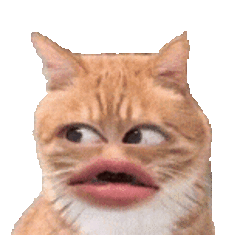 抽象猫咪表情包